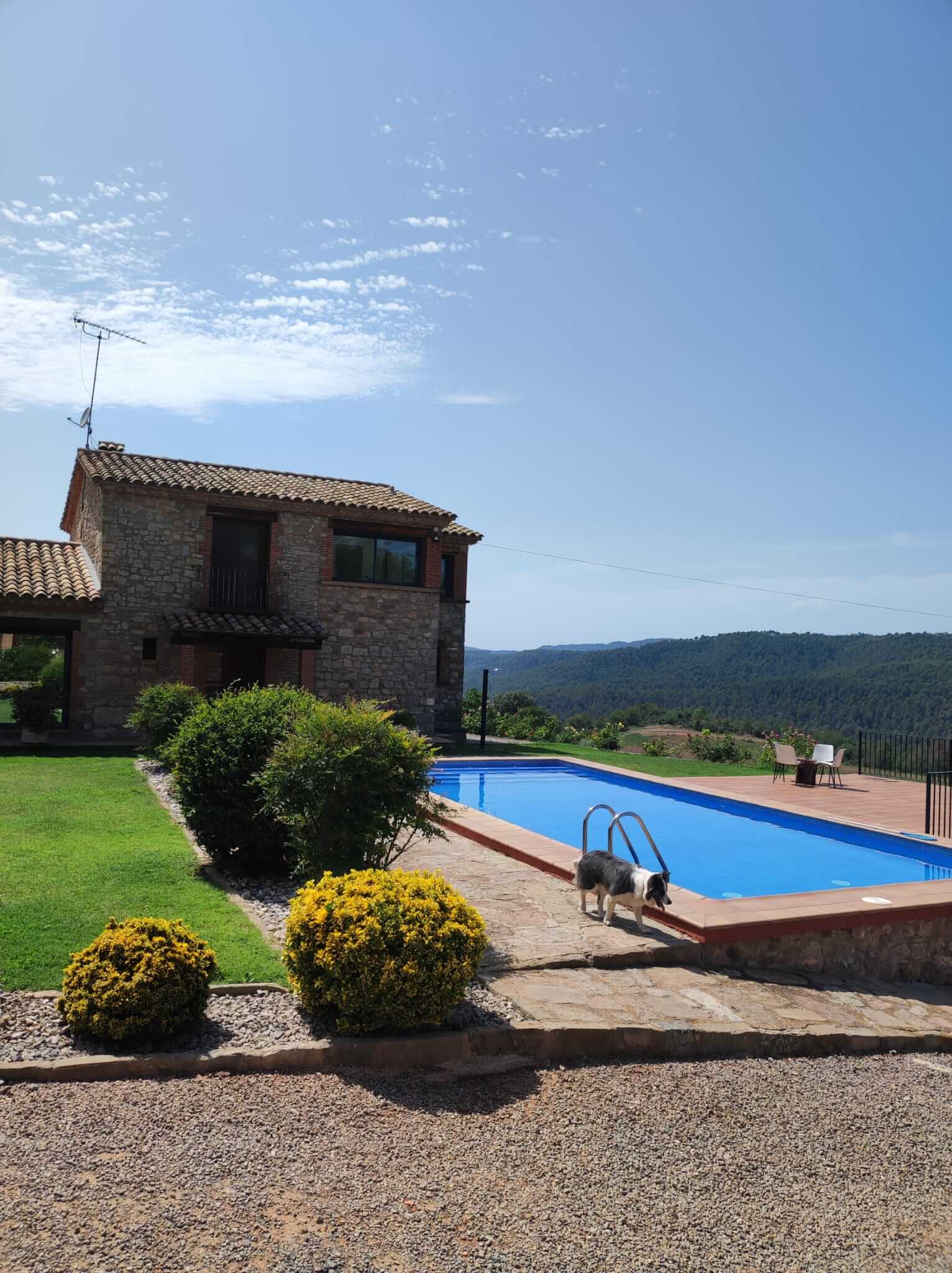 El Viaje del Ser - Imatge feliciCat Empresa Amiga