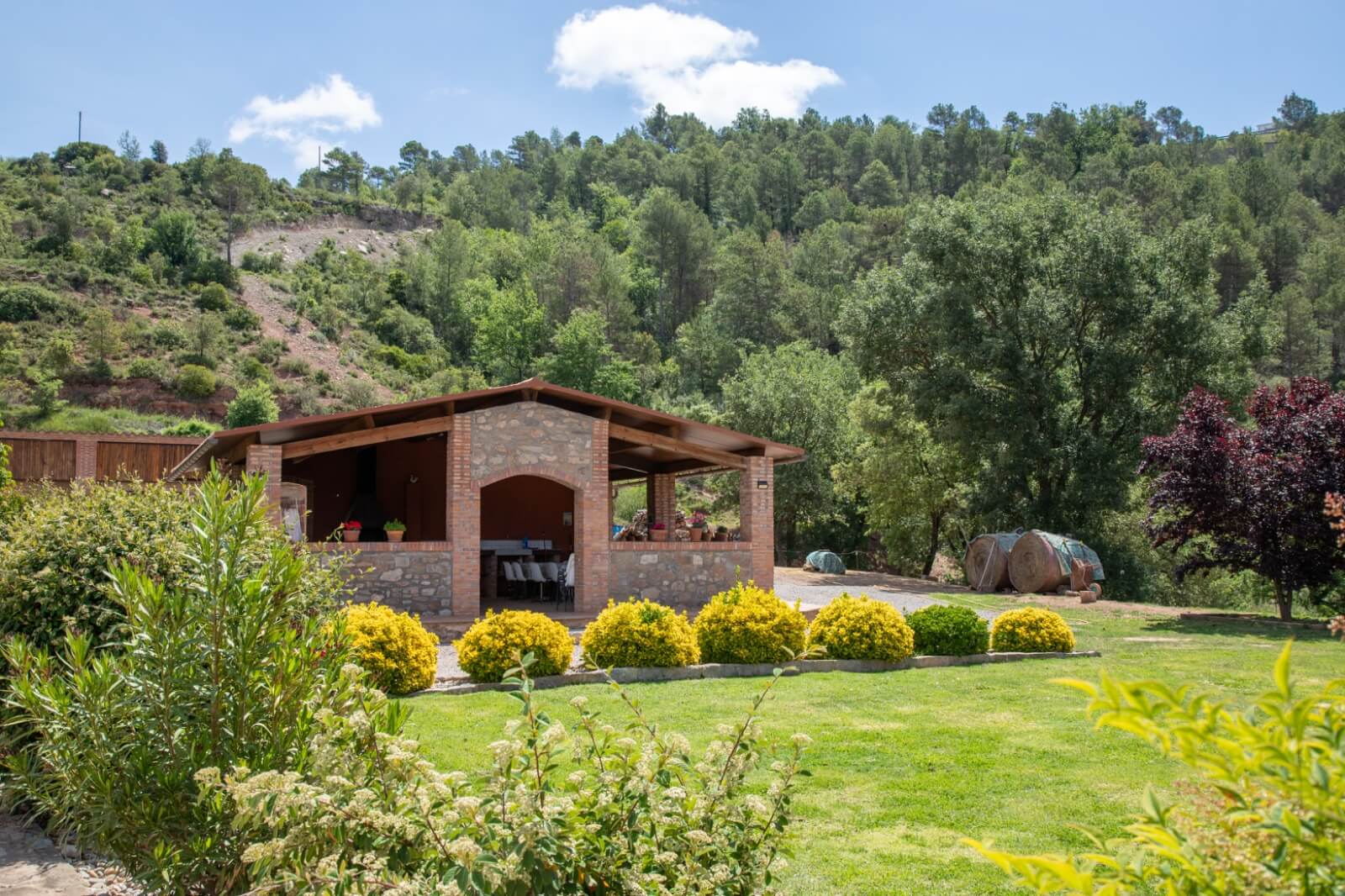 El Viaje del Ser - Imatge feliciCat Empresa Amiga