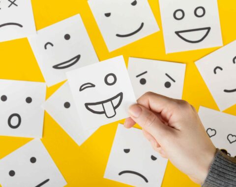 Portada Imatge Article Emogg Analytics