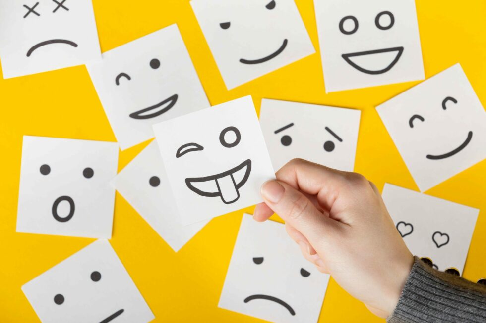 Portada Imatge Article Emogg Analytics