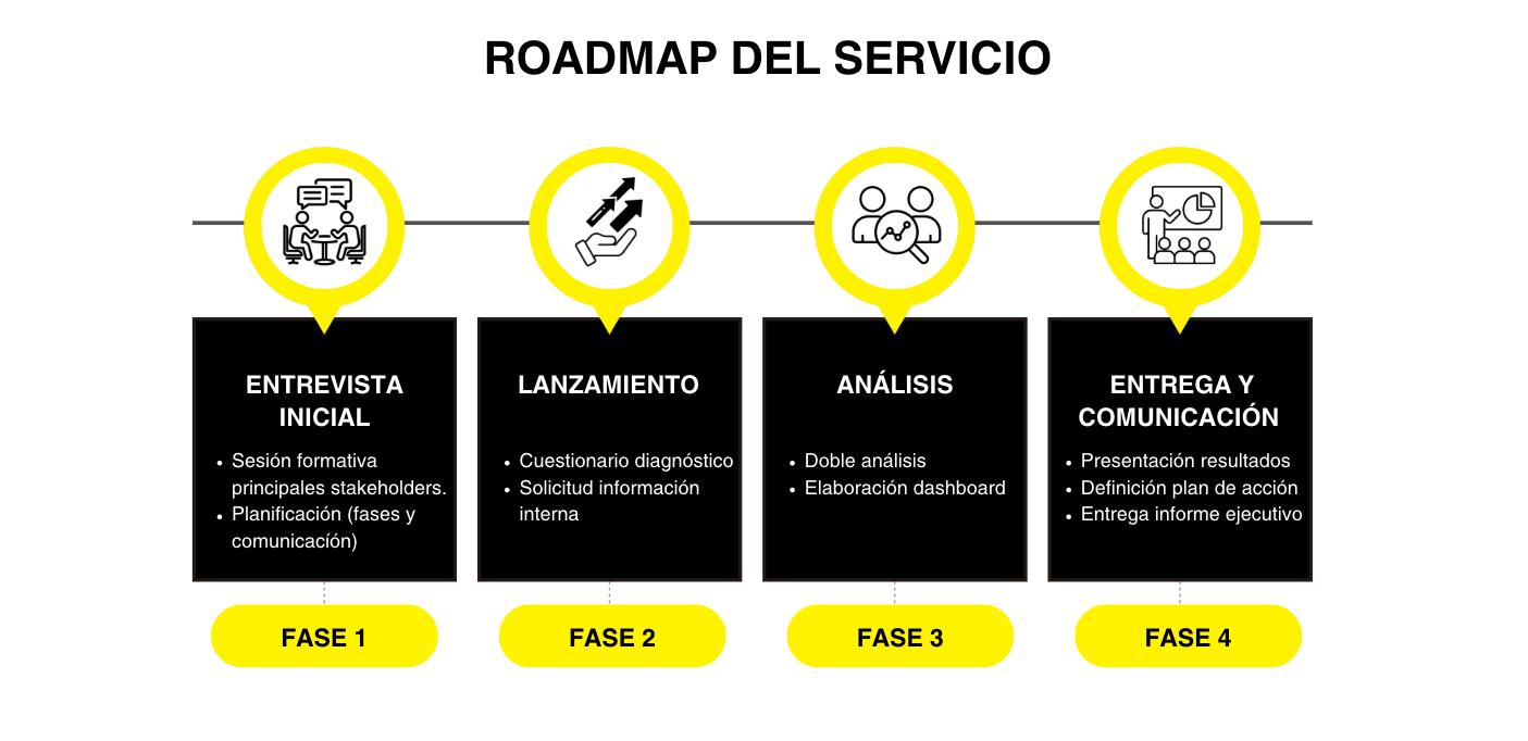 Roadmap-Servei-Consultoria-Diagnòstic-CAT